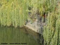 Imagine atasata: Bega - 2014.10.12 - 003.jpg